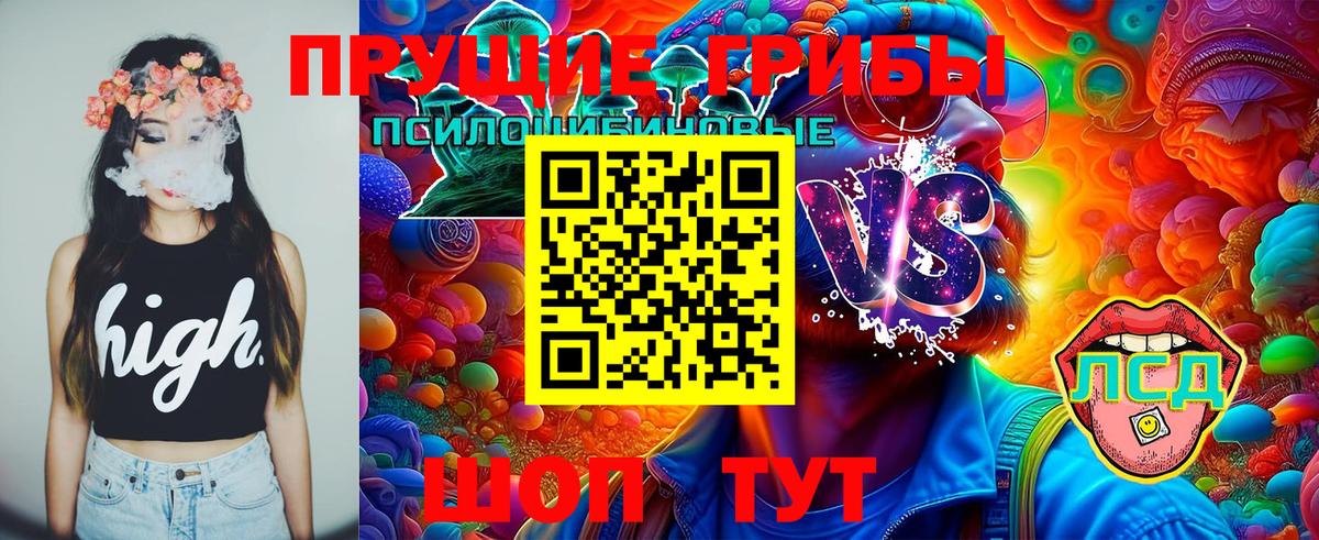 Галлюциногенные грибы Psilocybe Набережные Челны