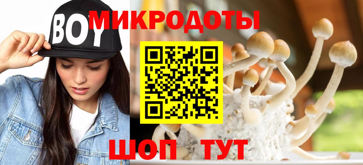 Набережные Челны  Псилоцибиновые грибы Psilocybe  Вход с VPN 